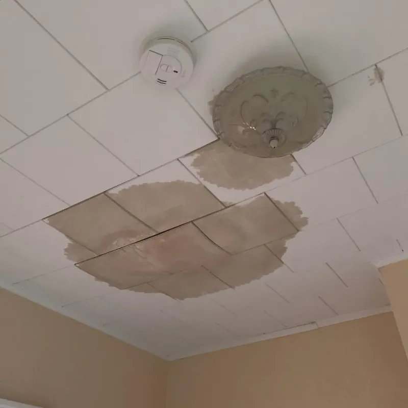 Ceiling Water Damage Repair in North Spearfish, SD