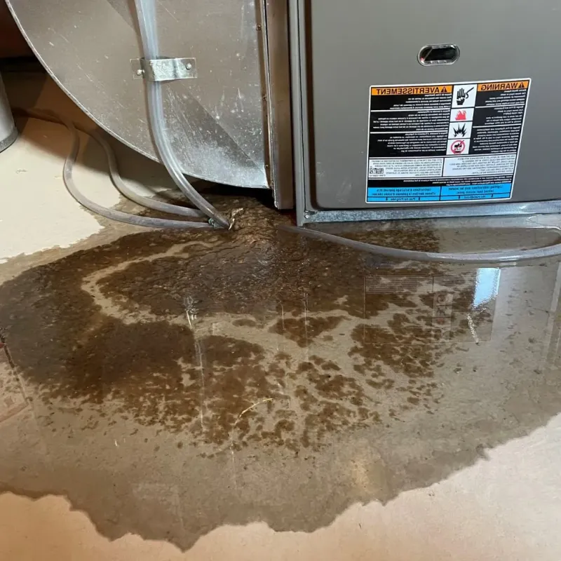 Pipe Burst and Leak Restoration in North Spearfish, SD