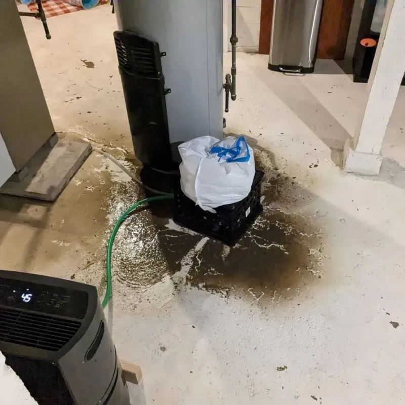 Sewage Backup Cleanup Service in North Spearfish, SD